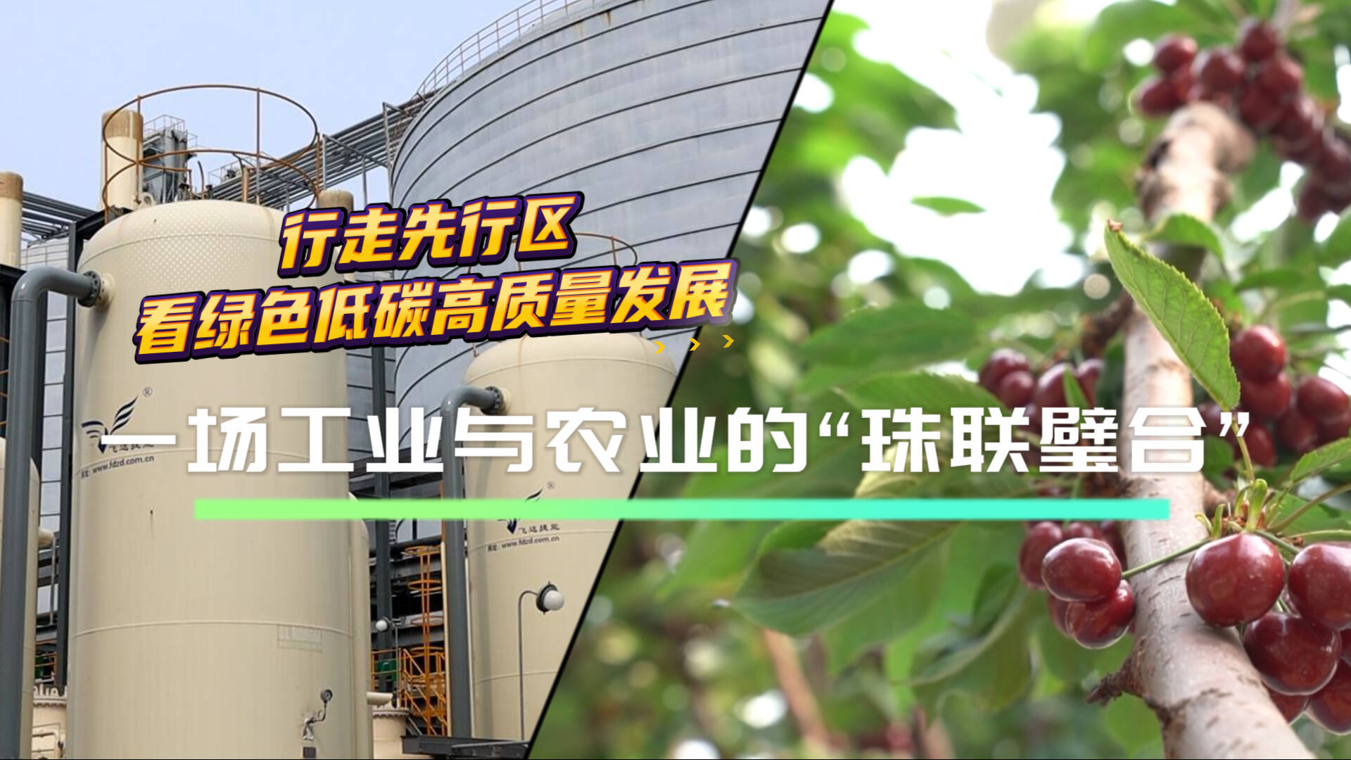 爱游戏 电竞-青训“绿色+智慧”双驱动产业链稳步布局，行业向高质量发展迈进的简单介绍