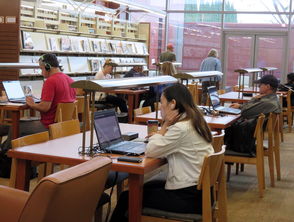 爱游戏在线登录入口-高校学生体育社团多元化发展路径与实践研究，重视高校体育社团建设不是大学生